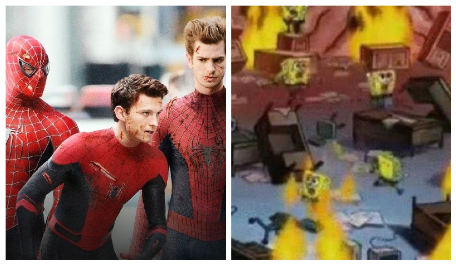 Estos son los mejores memes del supuesto avance de Spider-Man: No Way Home Estos son los mejores memes del supuesto avance de Spider-Man: No Way Home