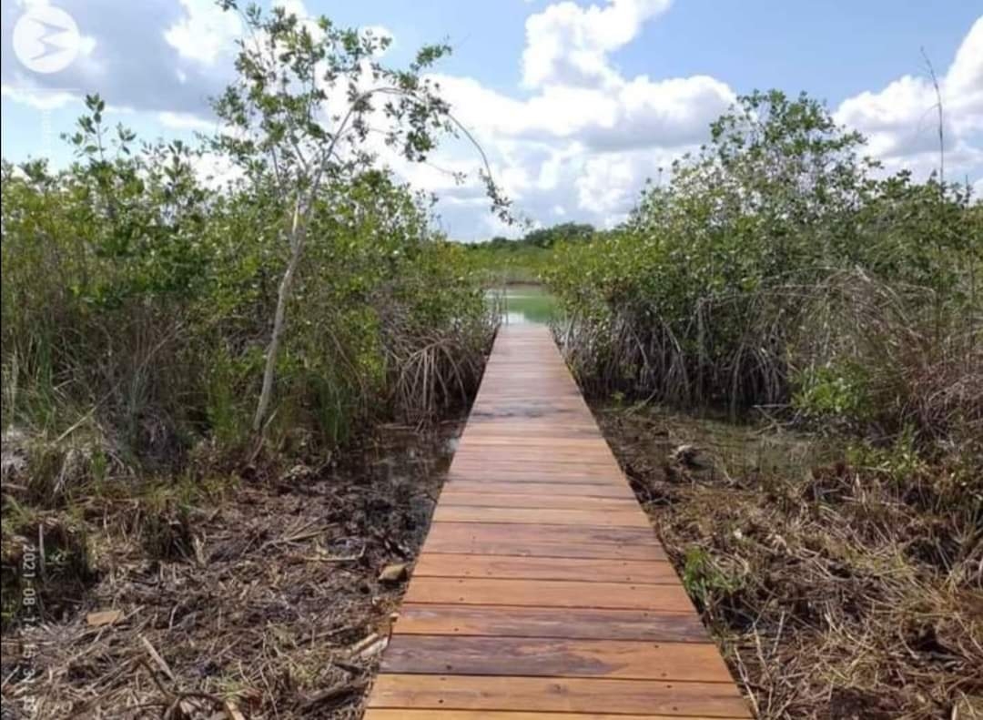 Pobladores acusan a Profepa de encubrir ecocidio del Estero de Chac en Chetumal