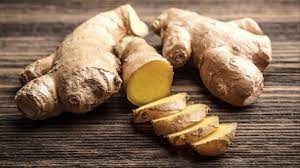 Este increíble tallo se ha utilizado desde tiempos milenarios para la medicina natural Este increíble tallo se ha utilizado desde tiempos milenarios para la medicina natural
