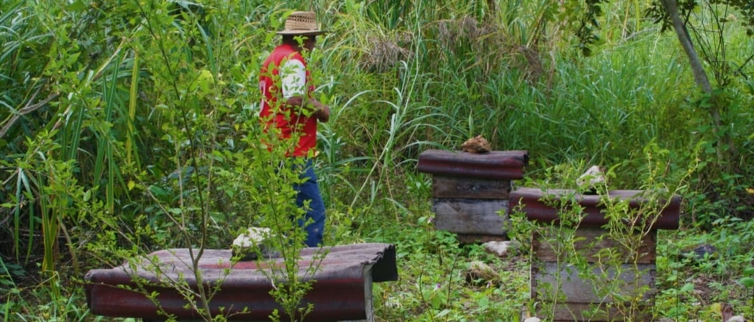 La investigación se realiza en el Cenote Miguel Colorado