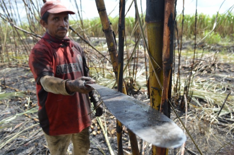 Los apoyos entregados benefician a productores de distintos ejidos de la zona sur de Quintana Roo
Los apoyos entregados benefician a productores de distintos ejidos de la zona sur de Quintana Roo