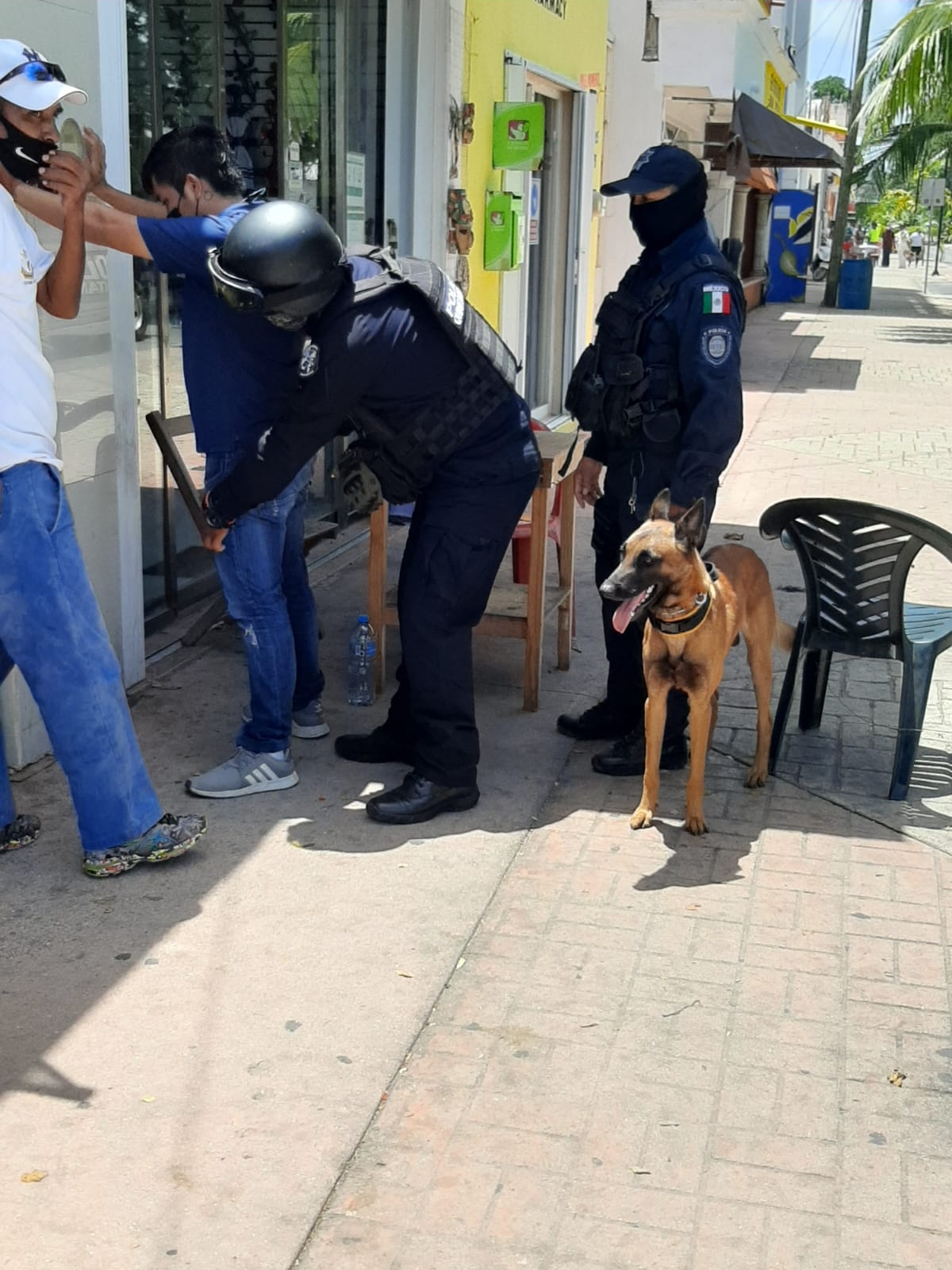 Los binomios, junto a sus respectivos instructores, recorrieron el interior del parque Benito Juárez Los binomios, junto a sus respectivos instructores, recorrieron el interior del parque Benito Juárez