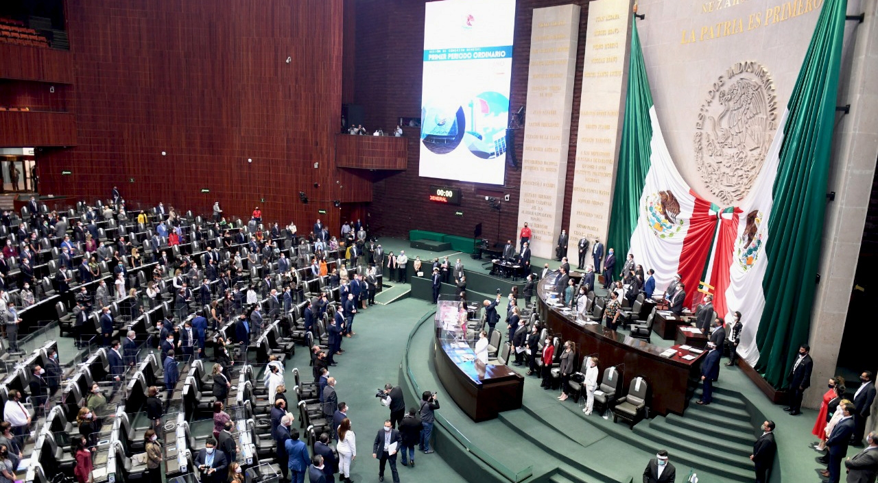 Por primera vez habrá en la Cámara baja 250 mujeres y 250 hombres Por primera vez habrá en la Cámara baja 250 mujeres y 250 hombres