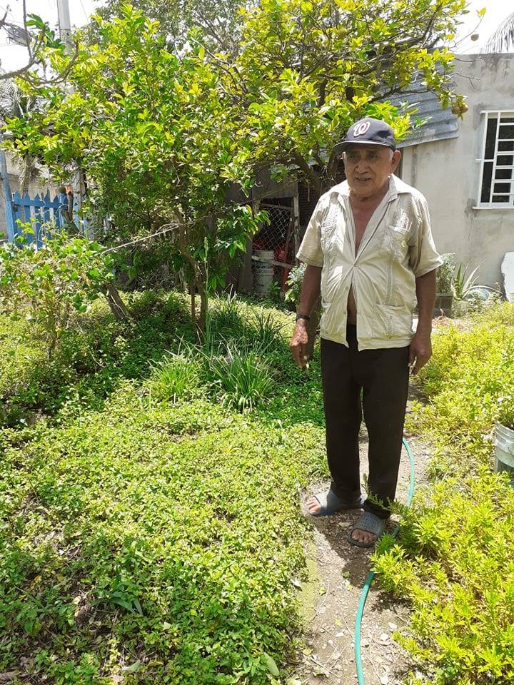El huerto está en la calle 90 con 5 Sur, Colonia Repobladores en Cozumel