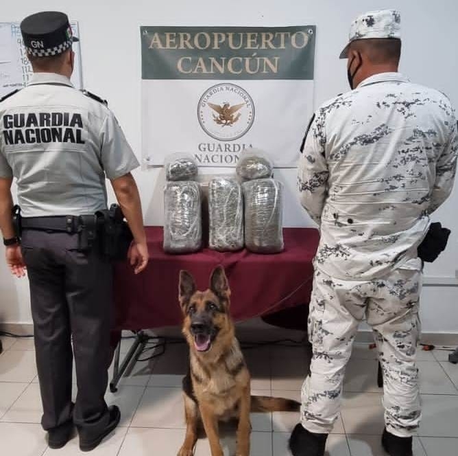 El paquete encontrado fue puesto a disposición de la Fiscalía General de la República en Quintana Roo El paquete encontrado fue puesto a disposición de la Fiscalía General de la República en Quintana Roo