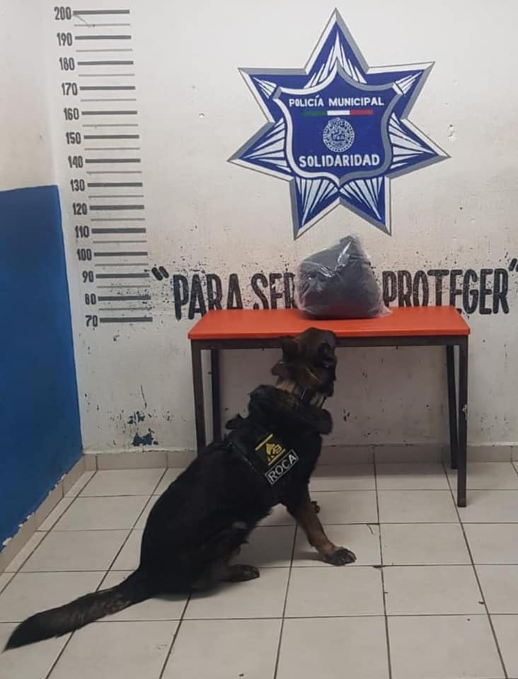 El agente camino ubicó la maleta de color negro en el suelo entre los pasillos seis y siete de la terminal de autobuses