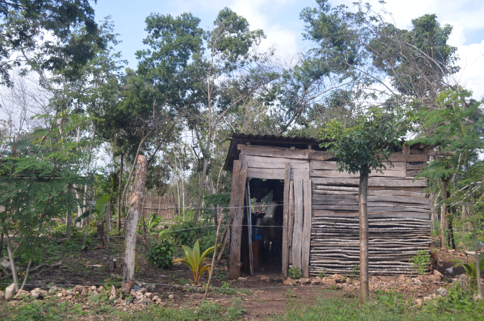 Existen 14 colonias irregulares en Chetumal, donde viven más de cinco mil habitantes en casas endebles Existen 14 colonias irregulares en Chetumal, donde viven más de cinco mil habitantes en casas endebles