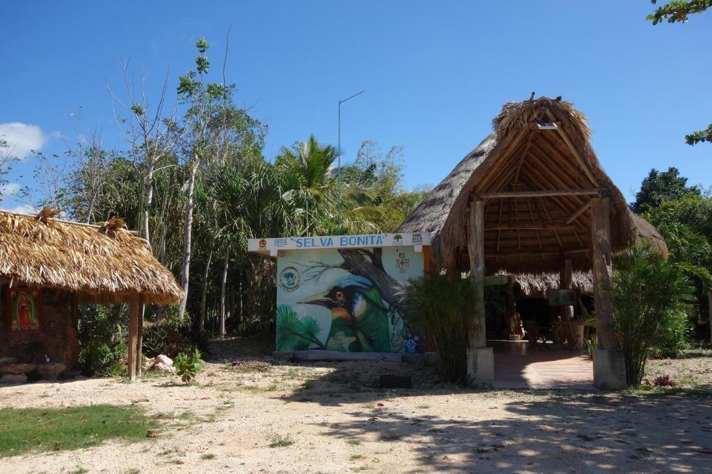 'Selva bonita' cuenta con 9 cabañas ecológicas construidas con materiales de la región 'Selva bonita' cuenta con 9 cabañas ecológicas construidas con materiales de la región
