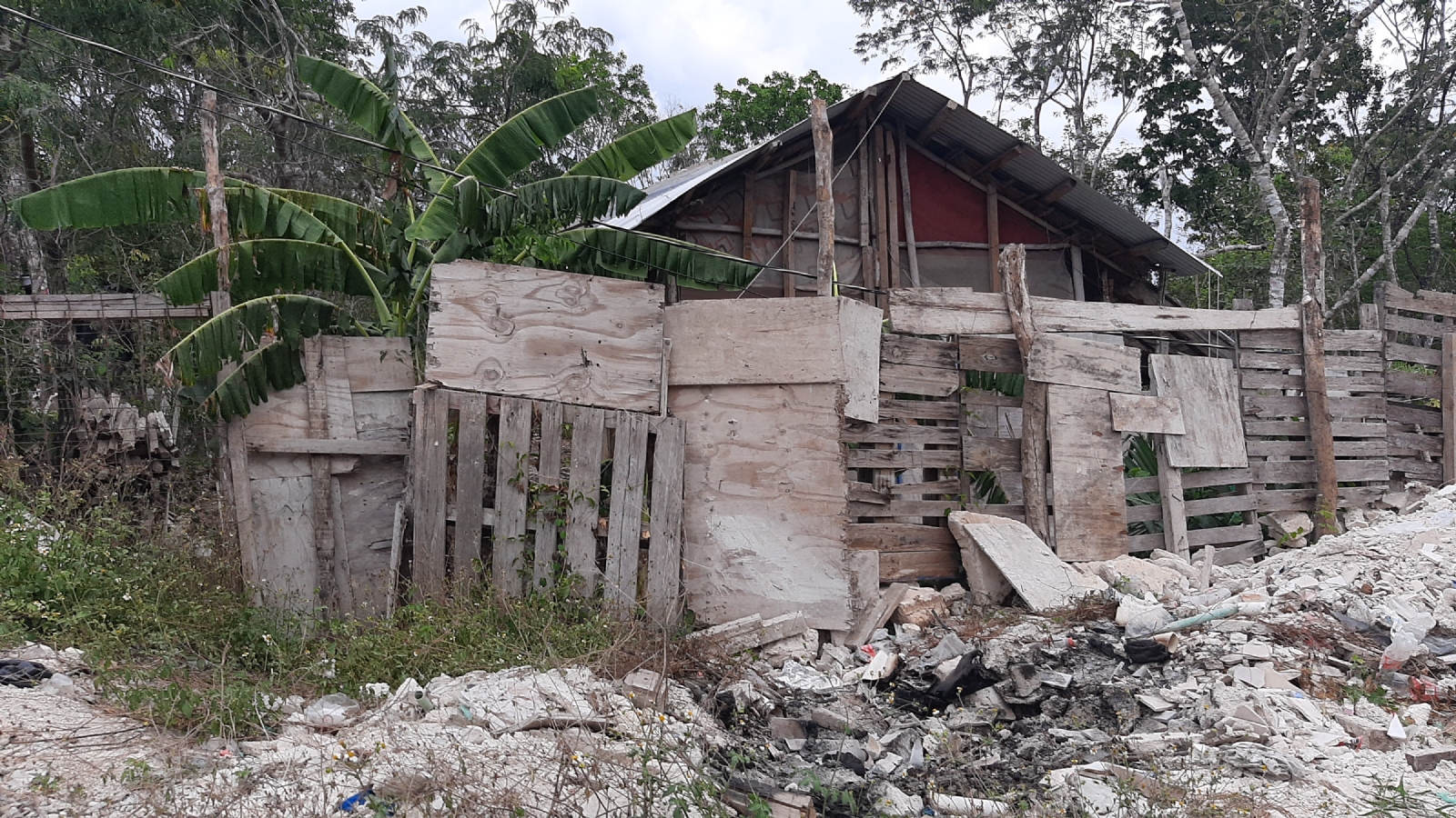 Asentamientos irregulares en Playa del Carmen, amenaza ambiental, asegura biólogo
