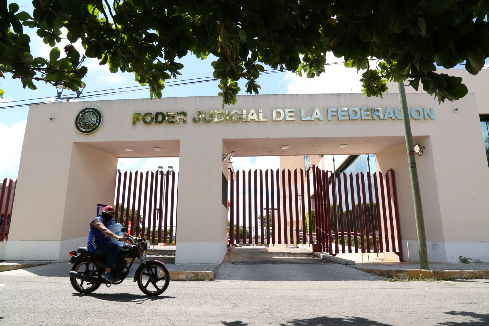 El juez Adrián Novelo definirá hoy si concede o no la suspensión de un criadero de cochinos ubicado en la comisaría izamaleña