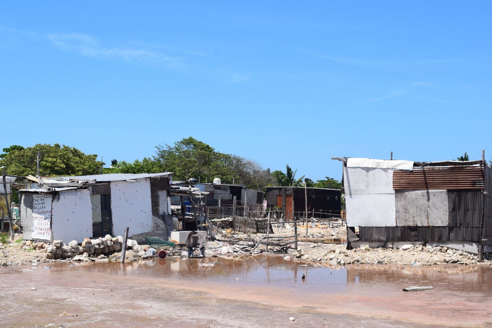 Los habitantes corren el riesgo de ser atacados por caimanes, alerta Profepa Los habitantes corren el riesgo de ser atacados por caimanes, alerta Profepa