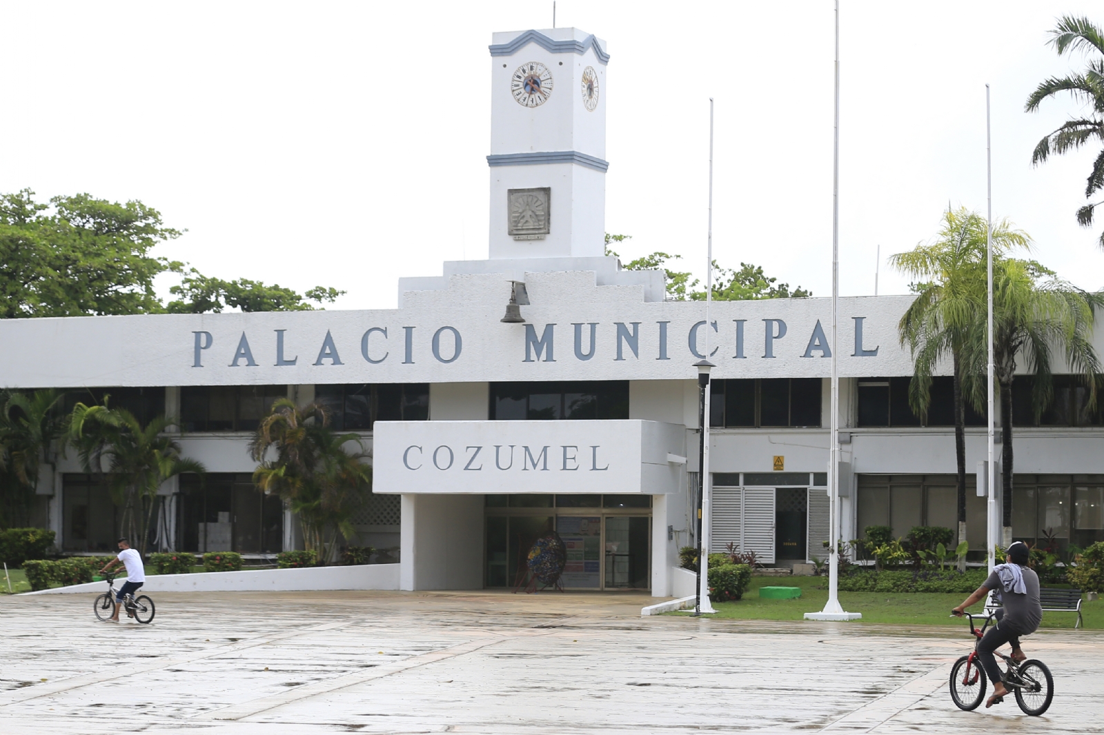 Debido a la saturación del corralón, la subasta se llevará a cabo para liberar espacio