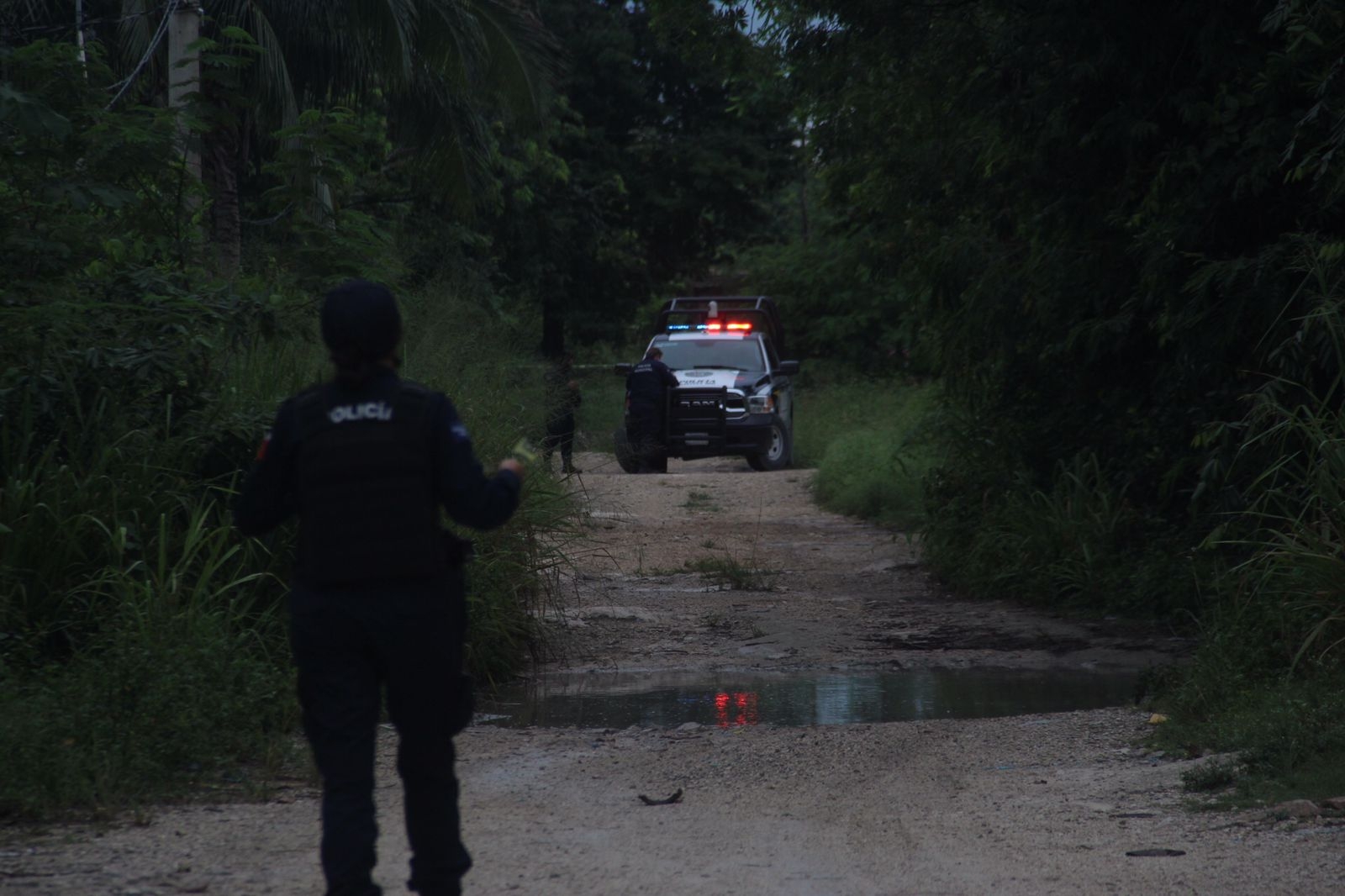 Al lugar acudieron los elementos de la Policía Quintana Roo quienes acordonaron el área Al lugar acudieron los elementos de la Policía Quintana Roo quienes acordonaron el área