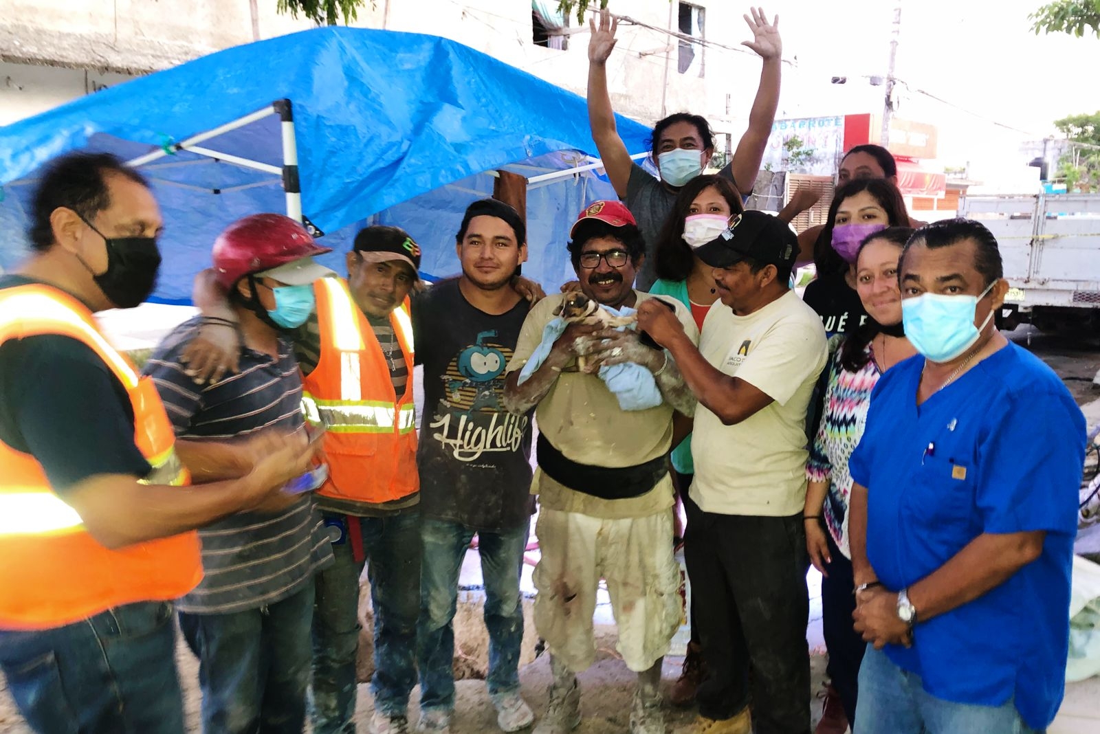 El perrito llamado 'Kibi' fue rescatado con vida, y en Centro de Control Animal de Cozumel se lo llevó para valoración El perrito llamado 'Kibi' fue rescatado con vida, y en Centro de Control Animal de Cozumel se lo llevó para valoración