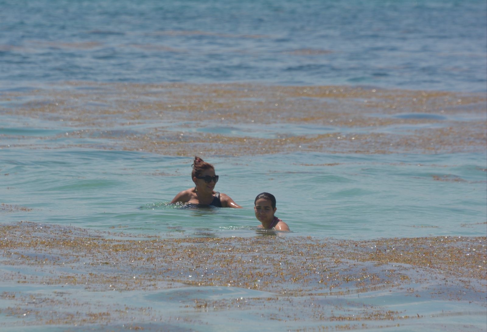 El sargazo sigue afectando las costas del Caribe Mexicano El sargazo sigue afectando las costas del Caribe Mexicano