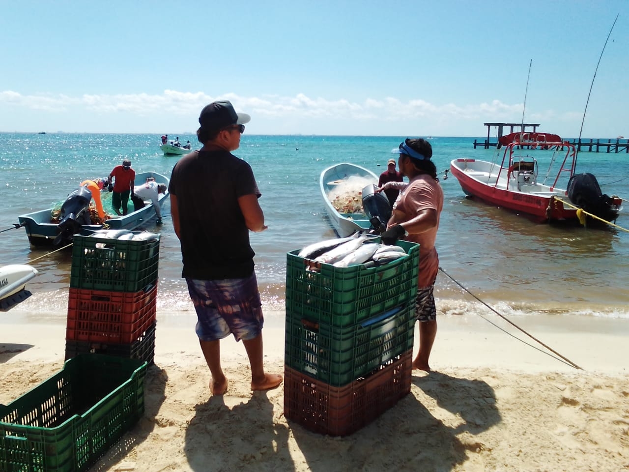 Son unas 10 embarcaciones las que saldrán diariamente con aproximadamente 50 pescadores
