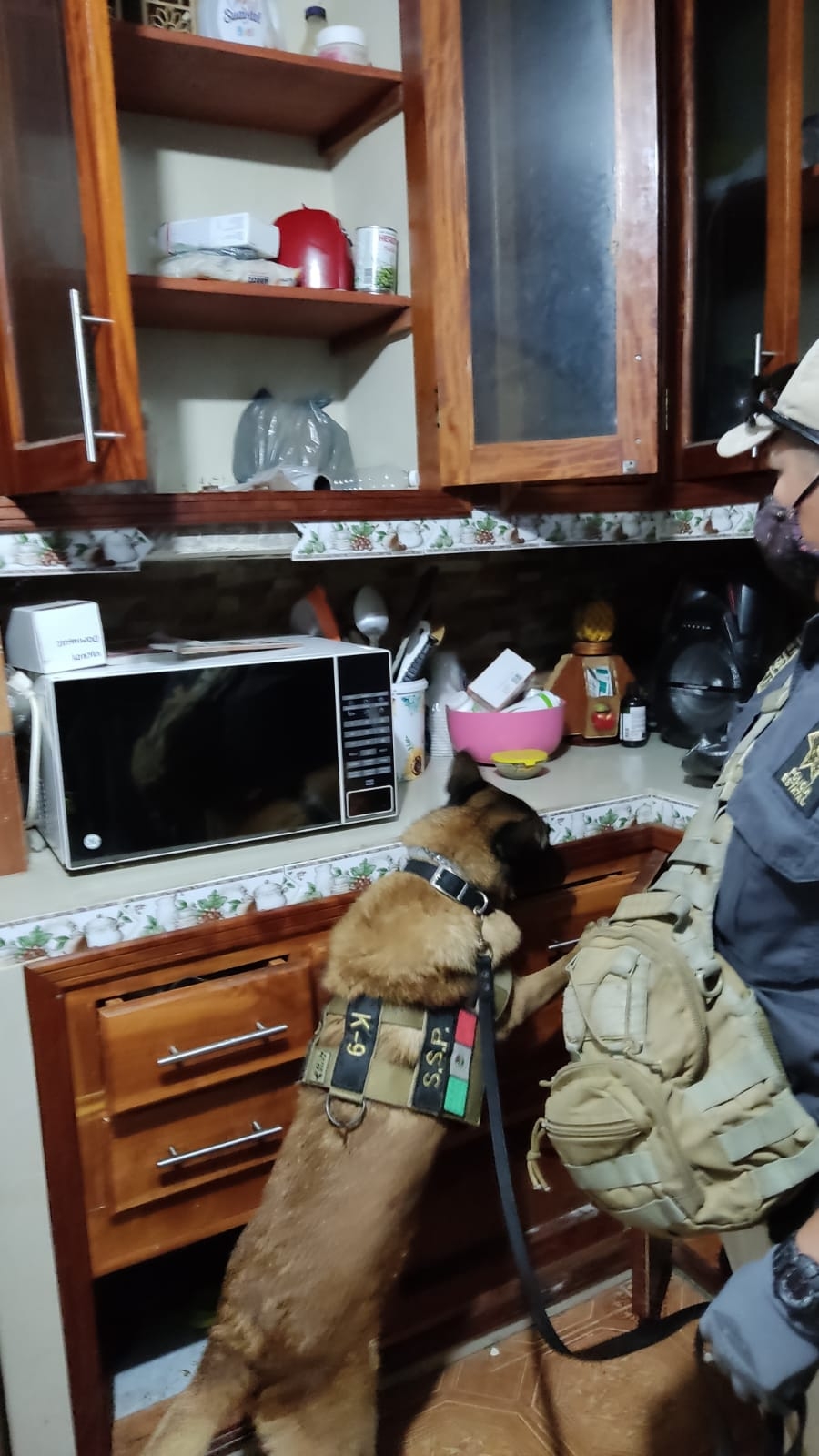 FGR realiza operativo antidrogas en Dzilam Bravo, Yucatán; hay un detenido