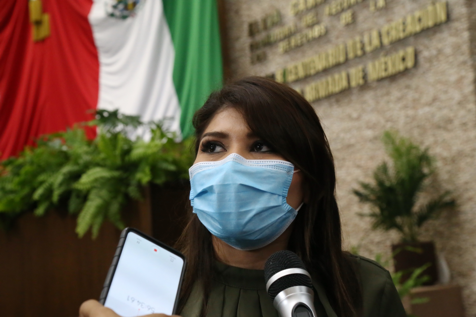 Alejandra Nóvelo Segura dijo que la iniciativa será presentada en los próximos días