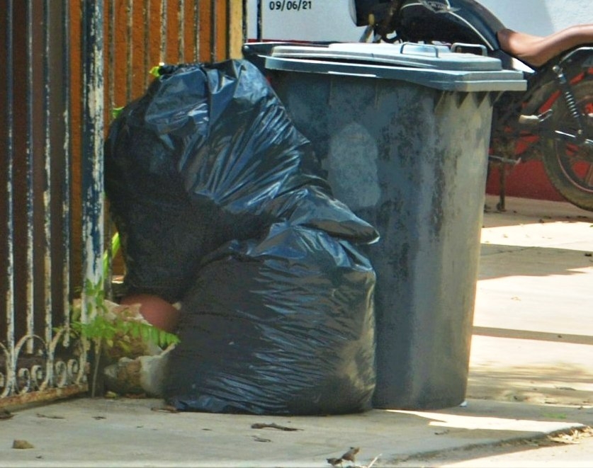 El servicio de recoja de basura se ha estado retrasando mucho