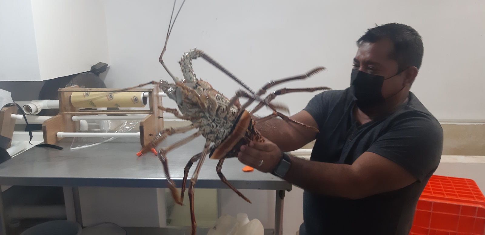 La pesca ha hecho que muchas familias logren solventar los gastos