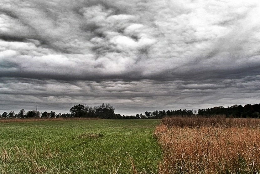 Las cabañuelas son una práctica ancestral usada tradicionalmente por agricultores para predecir las condiciones del clima a lo largo del año