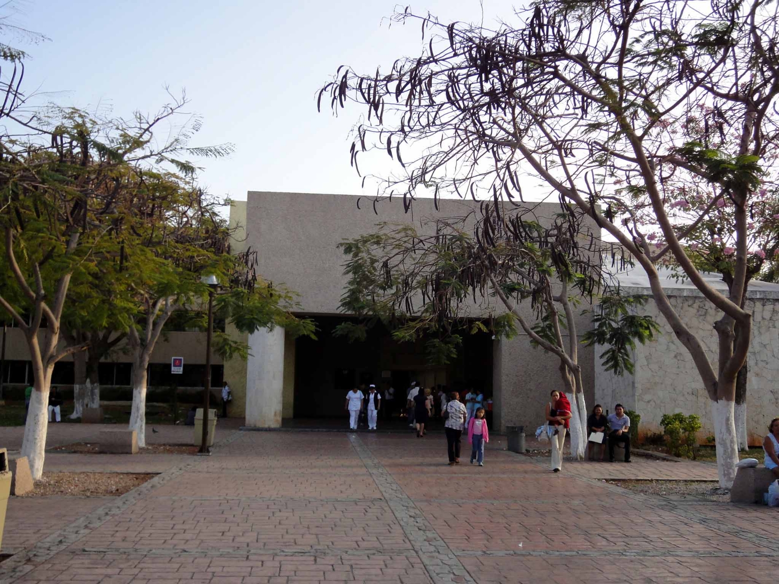 El IMSS T-1 deberá de cooperar en las investigaciones El IMSS T-1 deberá de cooperar en las investigaciones