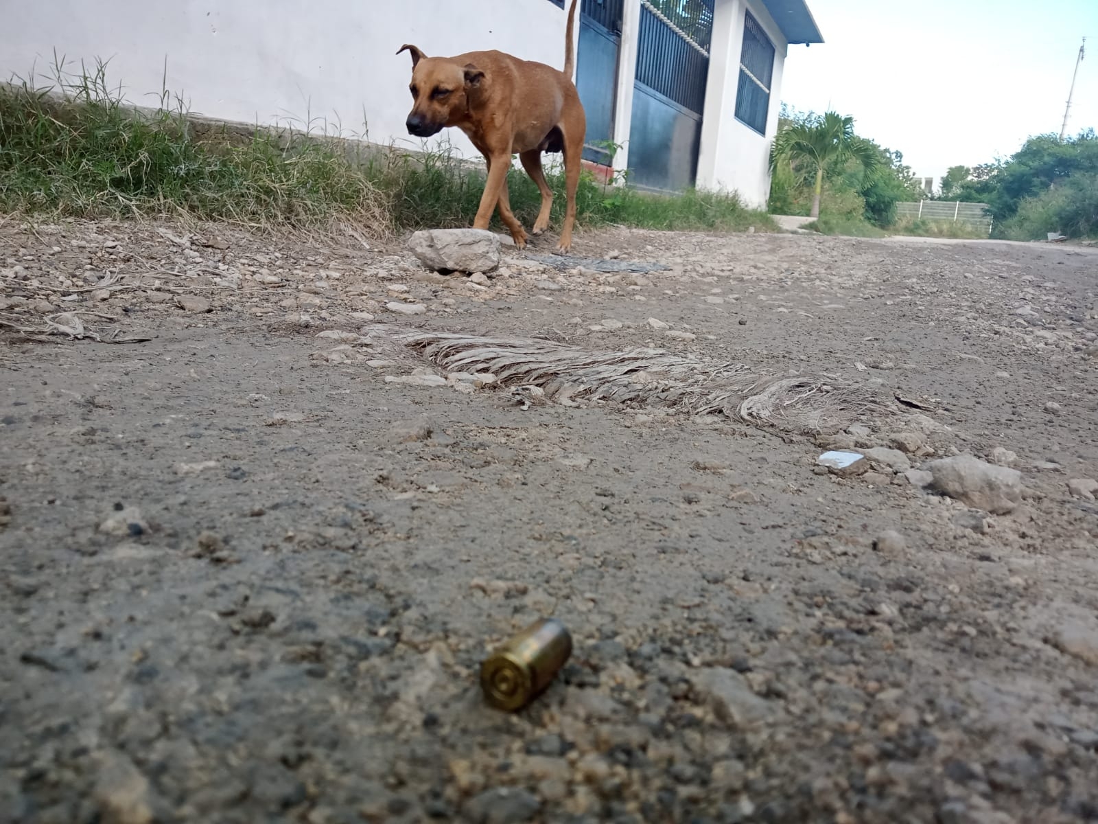 Una de los casquillos de las balas que se detonaron en la Región 235 de Cancún quedaron en el suelo