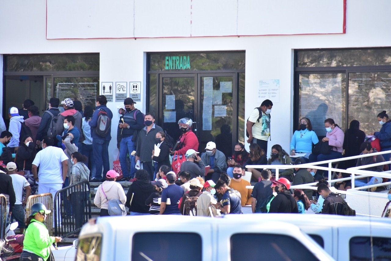 La ciudadanía ha abarrotado desde el tres de enero las oficinas