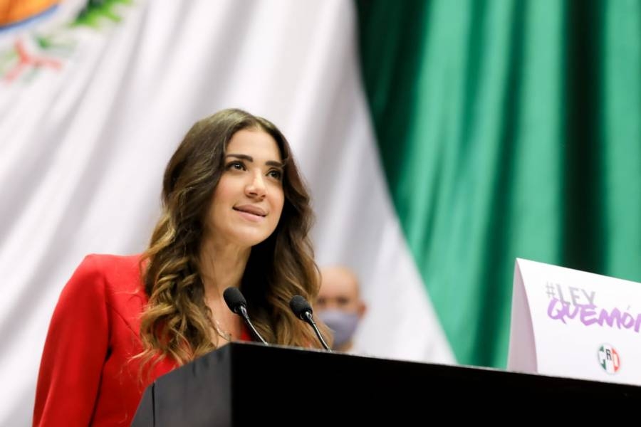 Paloma Sánchez es diputada y secretaria de Comunicación Institucional del PRI Foto: Congreso de la Unión Paloma Sánchez es diputada y secretaria de Comunicación Institucional del PRI Foto: Congreso de la Unión