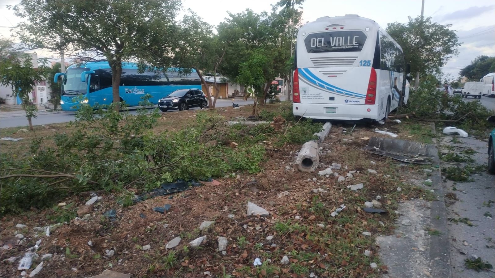 Trascendió que el chofer de la unidad pesada se quedó dormido al volante, y por eso terminó estrellándose contra un poste en Cancún