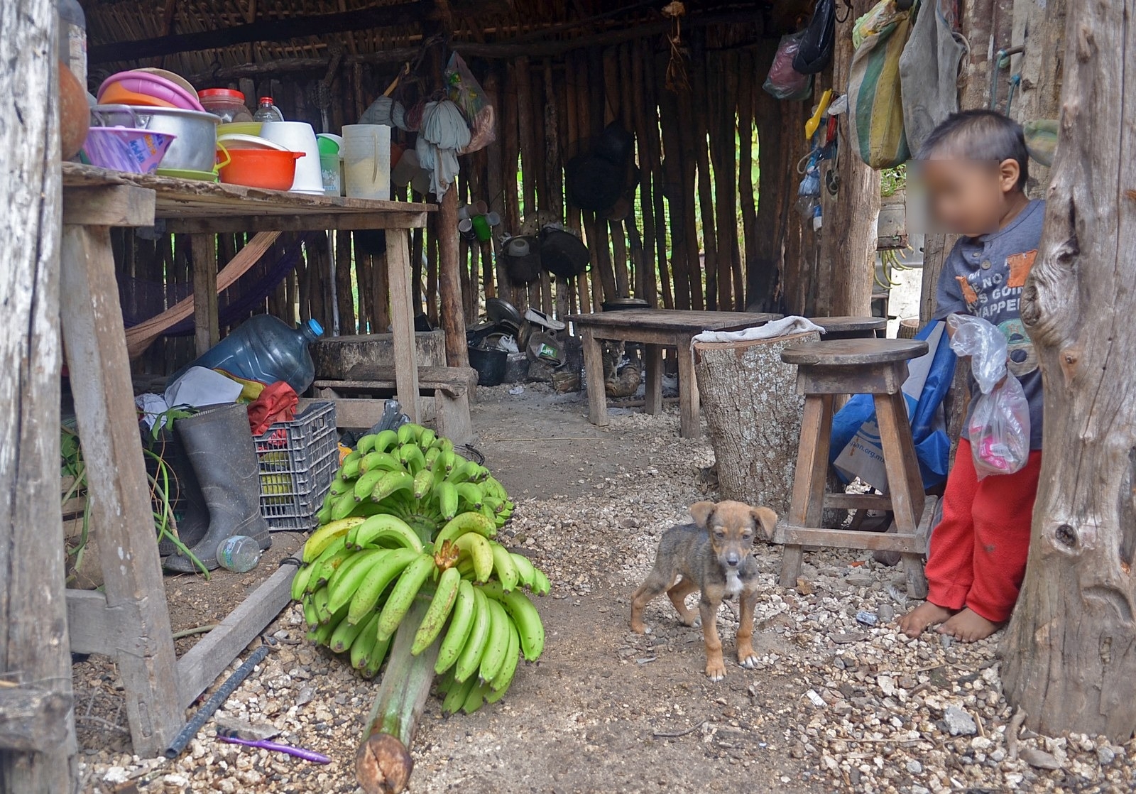 La carencia de alimentos en la Zona Norte de Quintana Roo se incrementó considerablemente en Tulum, que rebasó la cifra de Cancún por dos puntos La carencia de alimentos en la Zona Norte de Quintana Roo se incrementó considerablemente en Tulum, que rebasó la cifra de Cancún por dos puntos