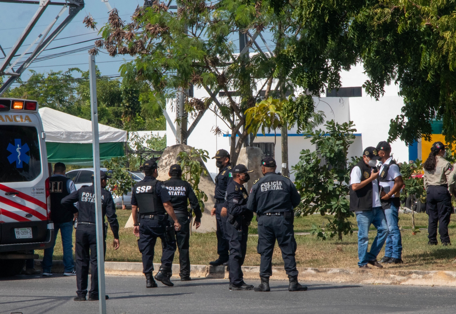 Durante el periodo de enero a diciembre del 2021, en Yucatán 
hubo cinco feminicidios: febrero, mayo, julio, agosto y noviembre.