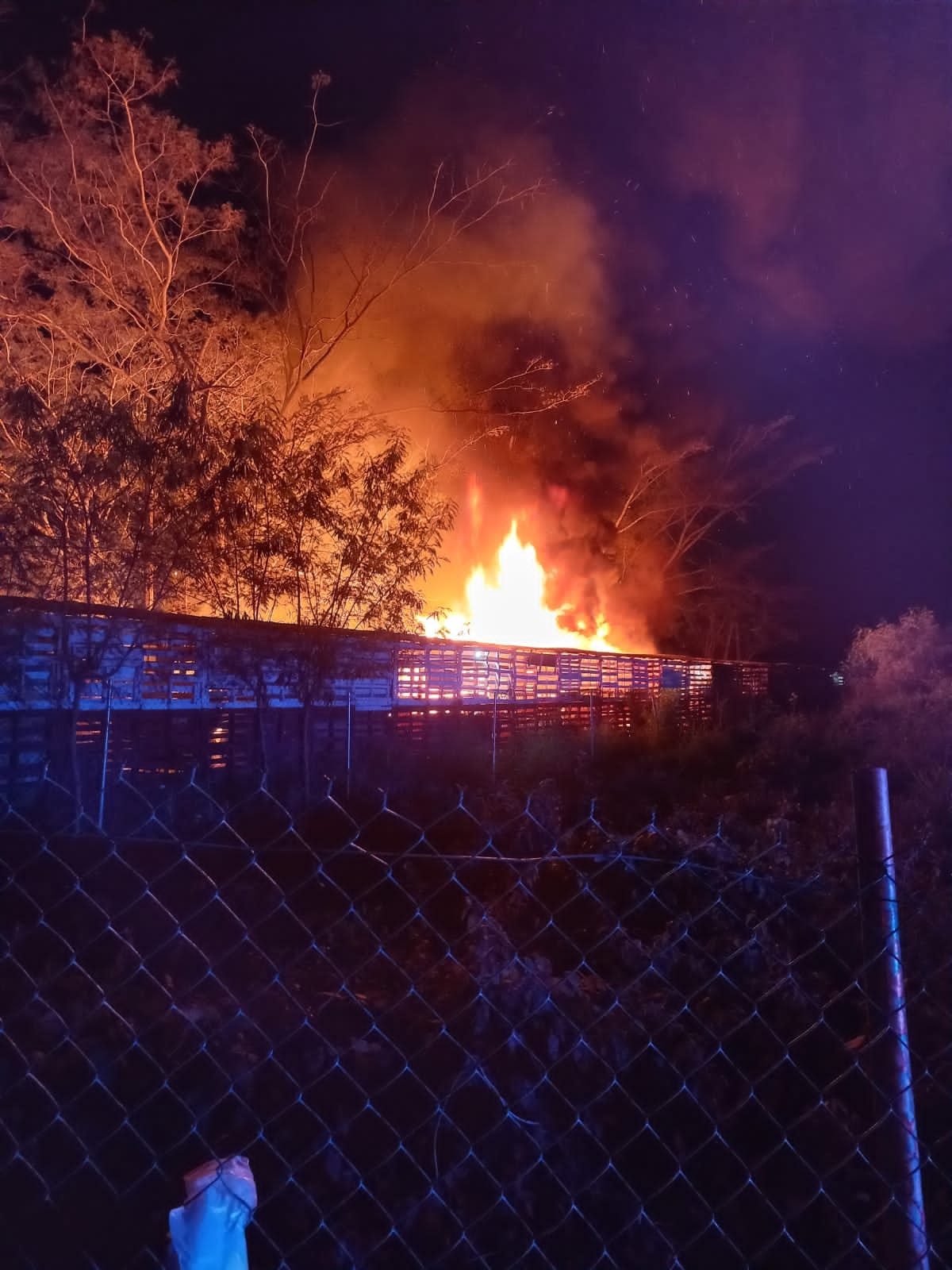 El incendio se dio durante la noche de este viernes El incendio se dio durante la noche de este viernes
