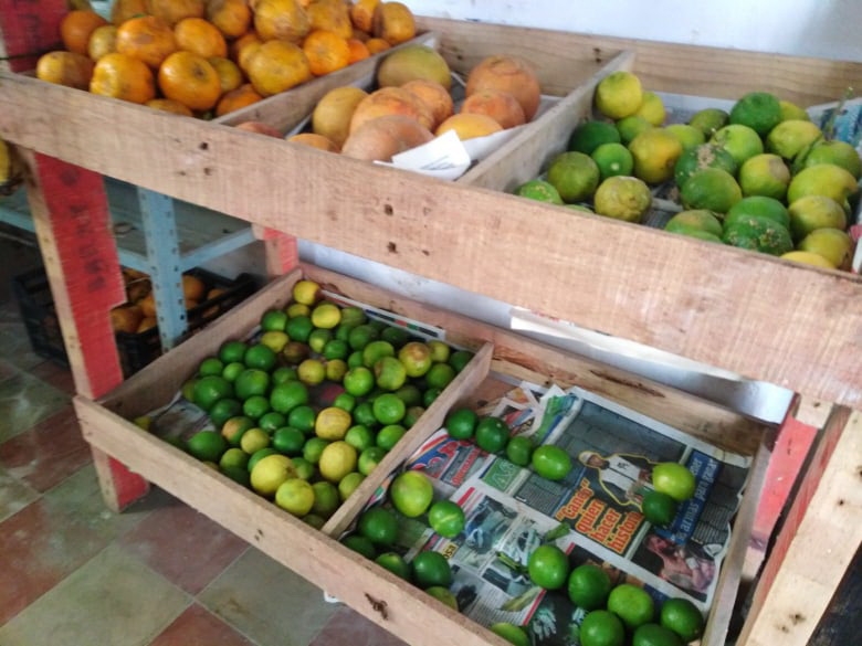 Amas de casa de Acanceh buscan sustituto del limón ante alza en el precio