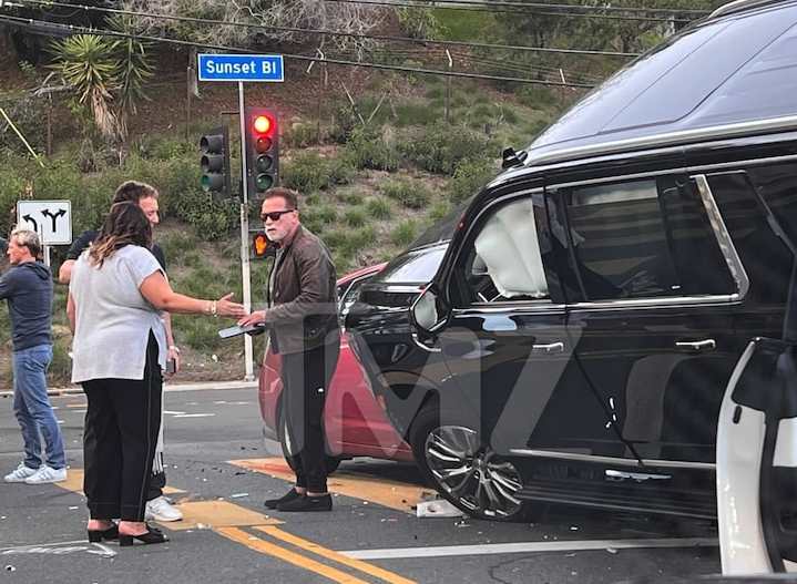 Arnold Schwarzenegger se encuentra bien tras el accidente. Foto: Twitter @profoundlymark