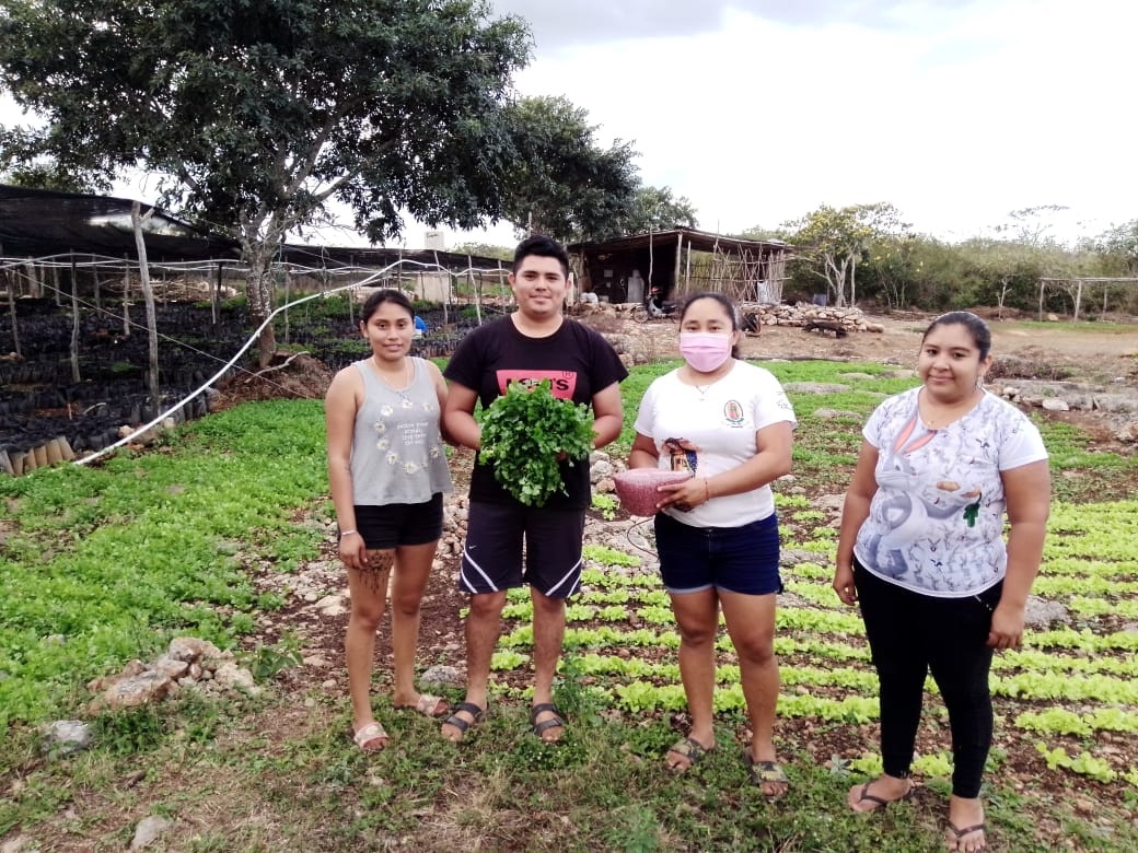 Linda Pech, Arely Rodríguez, Yussy Catzín y Moisés Collí pertenecen al grupo de becarios Xa`Aybej (Orilla de Camino) Linda Pech, Arely Rodríguez, Yussy Catzín y Moisés Collí pertenecen al grupo de becarios Xa`Aybej (Orilla de Camino)
