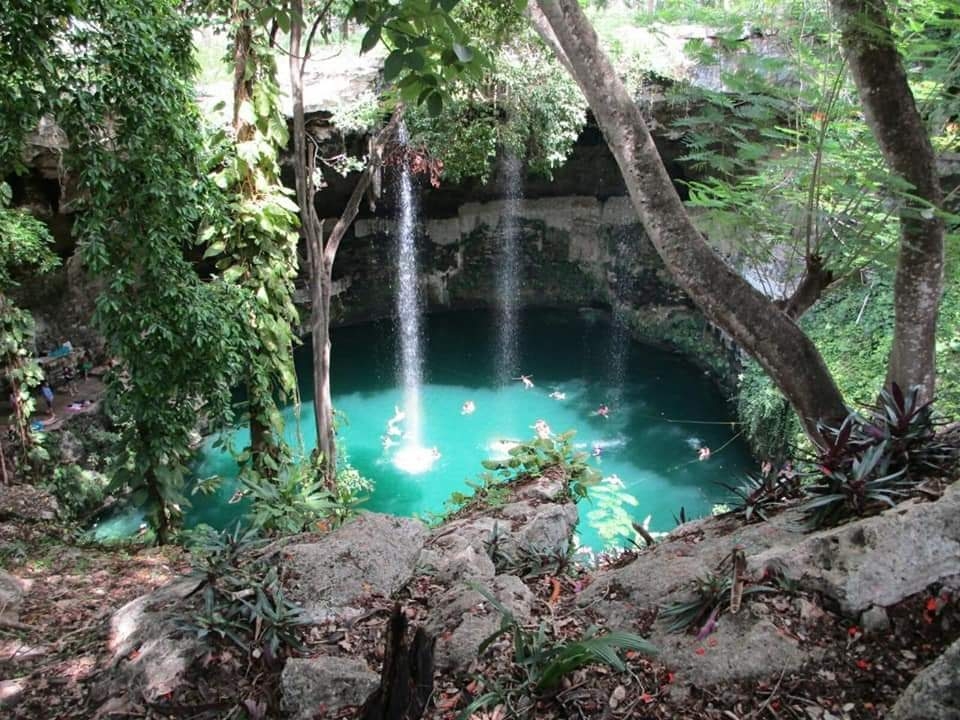 Estos son los animales en peligro de extinción que habitan en los cenotes de Yucatán