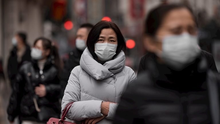 En el acumulado en dos años de pandemia, los casos confirmados por la OMS ascienden a 356 millones
En el acumulado en dos años de pandemia, los casos confirmados por la OMS ascienden a 356 millones