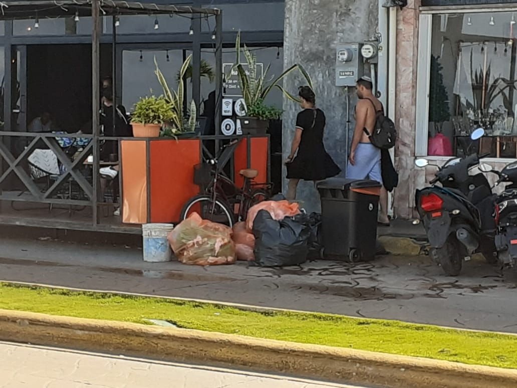Pese a que dio mal aspecto a la zona, los empleados del establecimiento en Cozumel no removieron las bolsas de basura Pese a que dio mal aspecto a la zona, los empleados del establecimiento en Cozumel no removieron las bolsas de basura