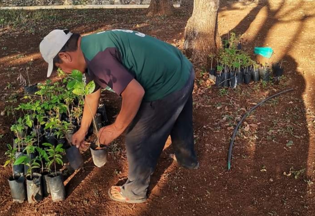 En el municipio los productores han sido participativos ante el proyecto presentado