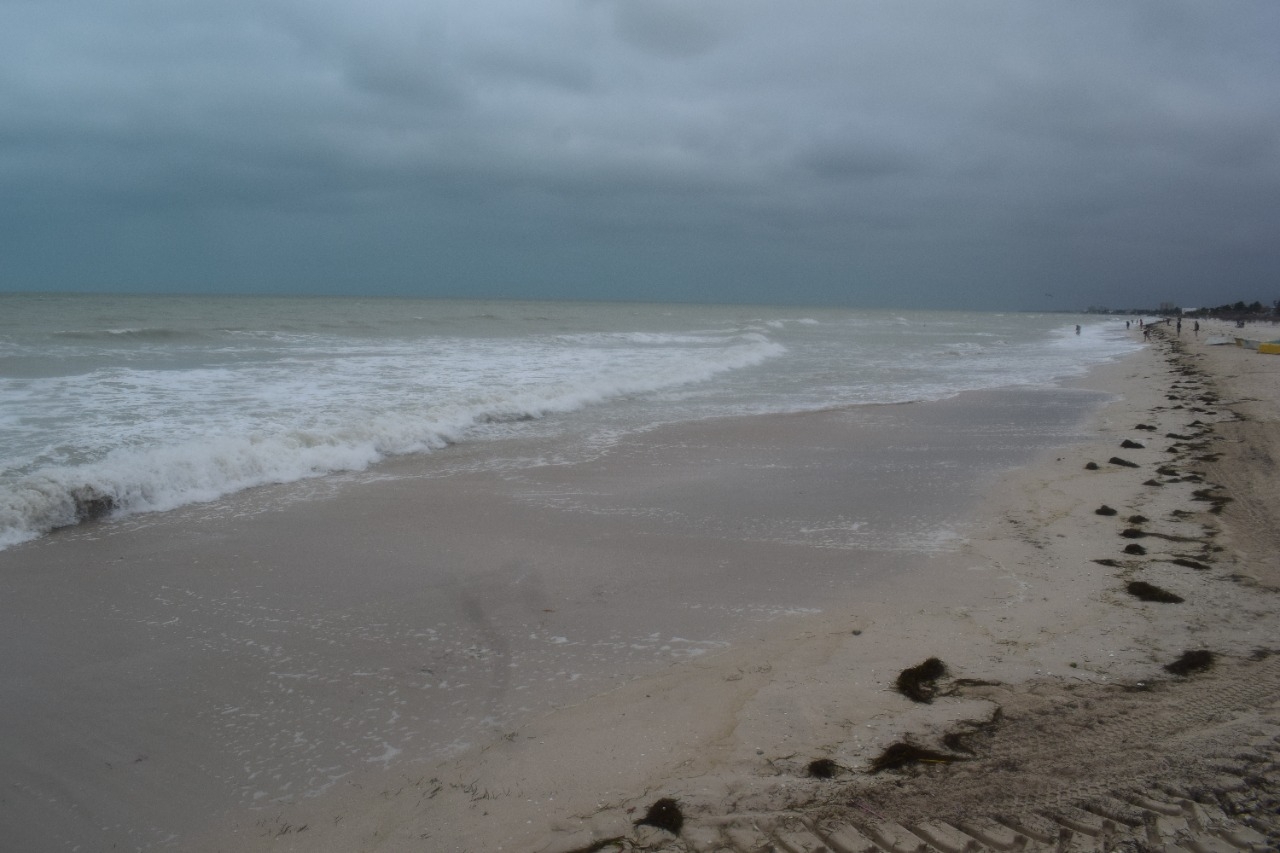 Las costas de Yucatán tienen este fenómeno anualmente