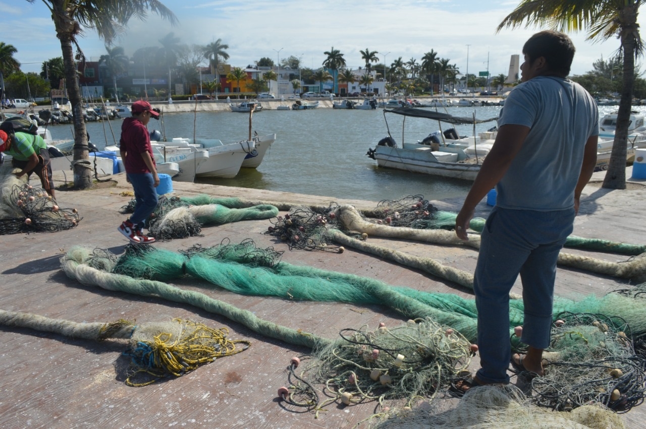 Los hombres de mar buscan diversas maneras de subsistir con las especies obtenidas en su último día de pesca que fue el viernes pasado