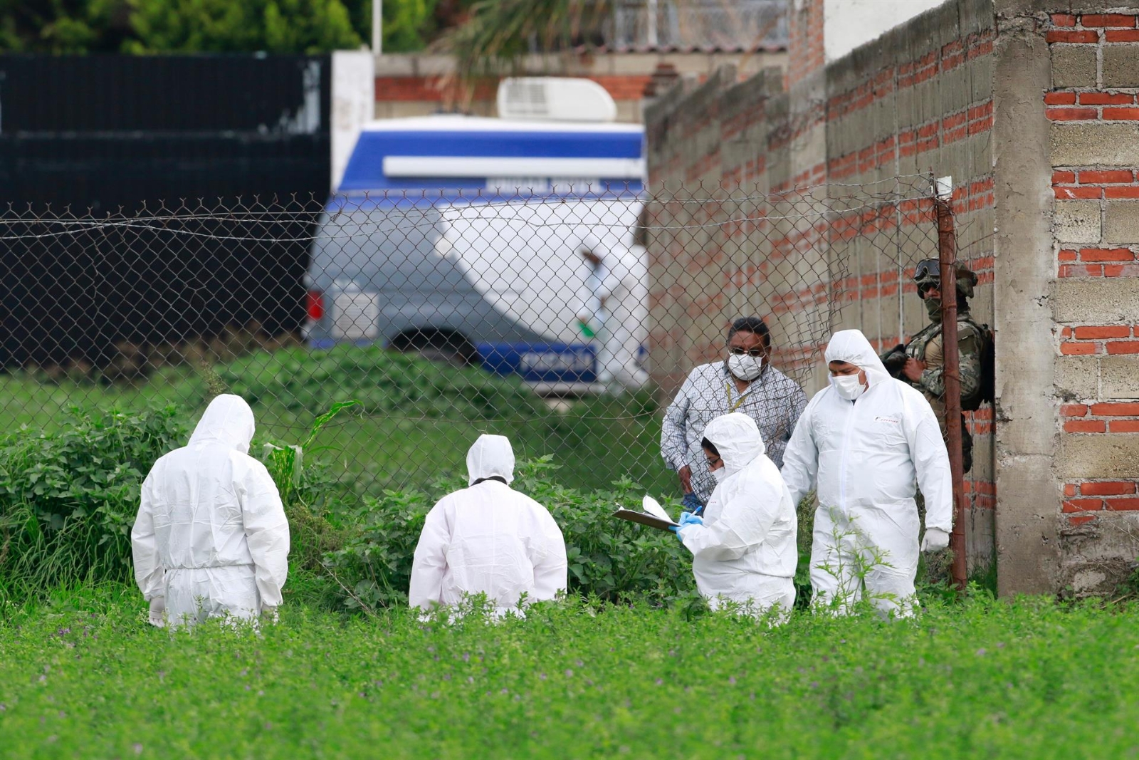 Durante la mañana fueron encontrado nueve cuerpos ejecutados presuntamente por el CJNG. Foto: EFE