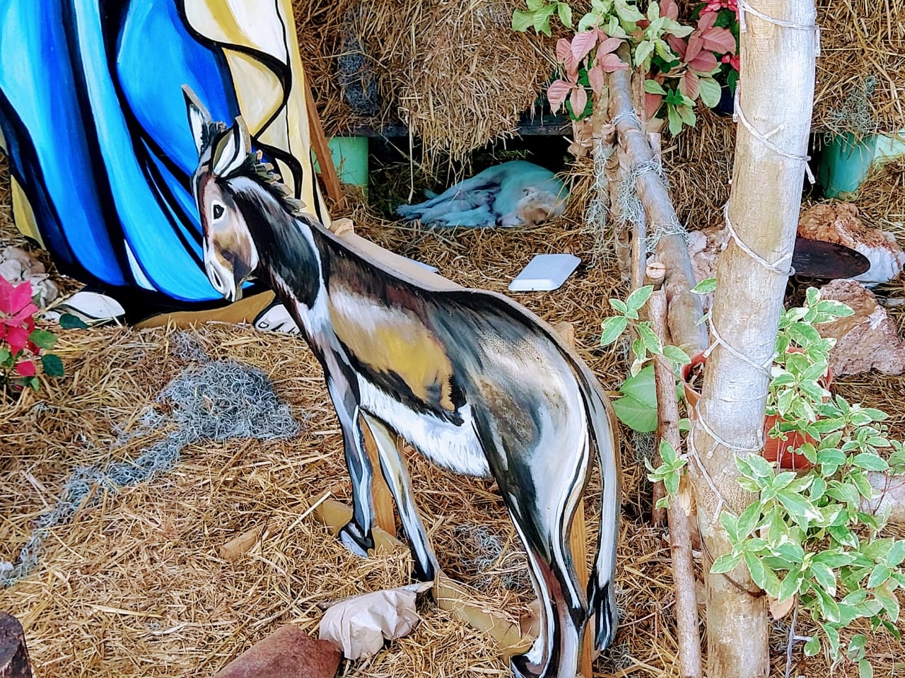 La perrita se refugió en el pesebre para dar a luz
