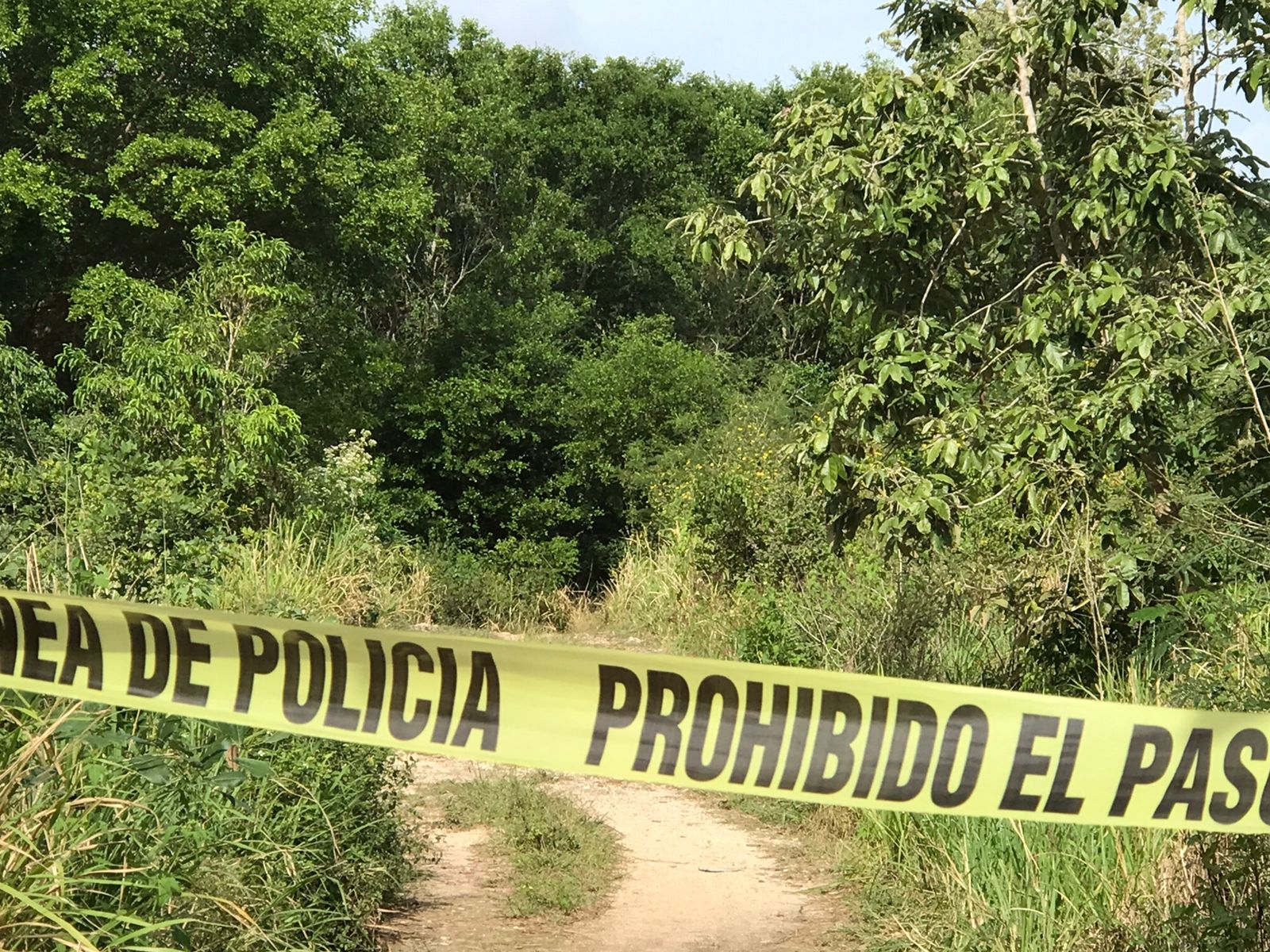 Vecinos de la Supermanzana 242 , en la colonia irregular Loma Bonita de Cancún, hallaron el cuerpo Vecinos de la Supermanzana 242 , en la colonia irregular Loma Bonita de Cancún, hallaron el cuerpo