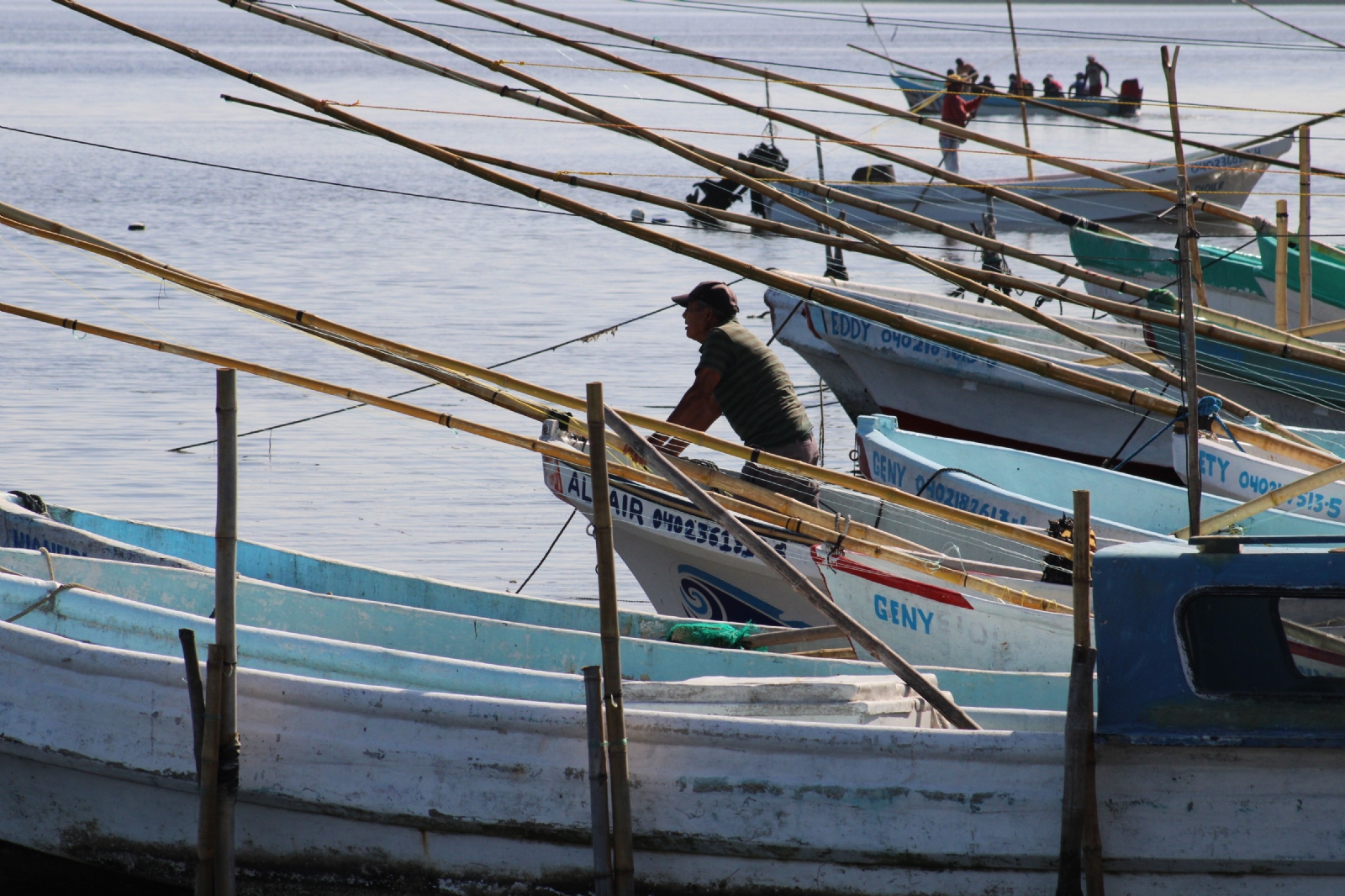 La sobrepesca y la pesca ilícita ponen en riesgo la abundancia de los mares de México, donde cuatro de cada 10 especies presentan algún grado de daño La sobrepesca y la pesca ilícita ponen en riesgo la abundancia de los mares de México, donde cuatro de cada 10 especies presentan algún grado de daño