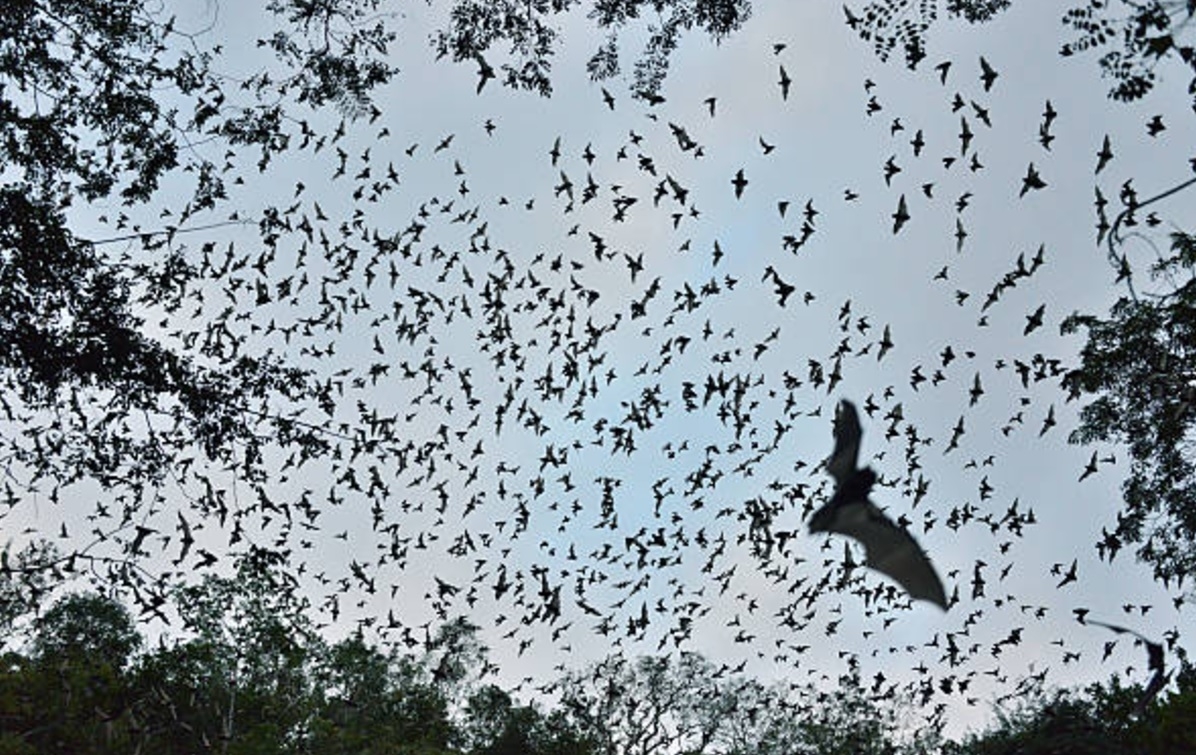 Todo nace de un cenote seco. Foto: Especial