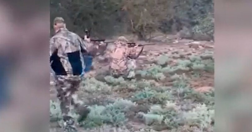 Video del ataque de búfalo a cazador mexicano Video del ataque de búfalo a cazador mexicano