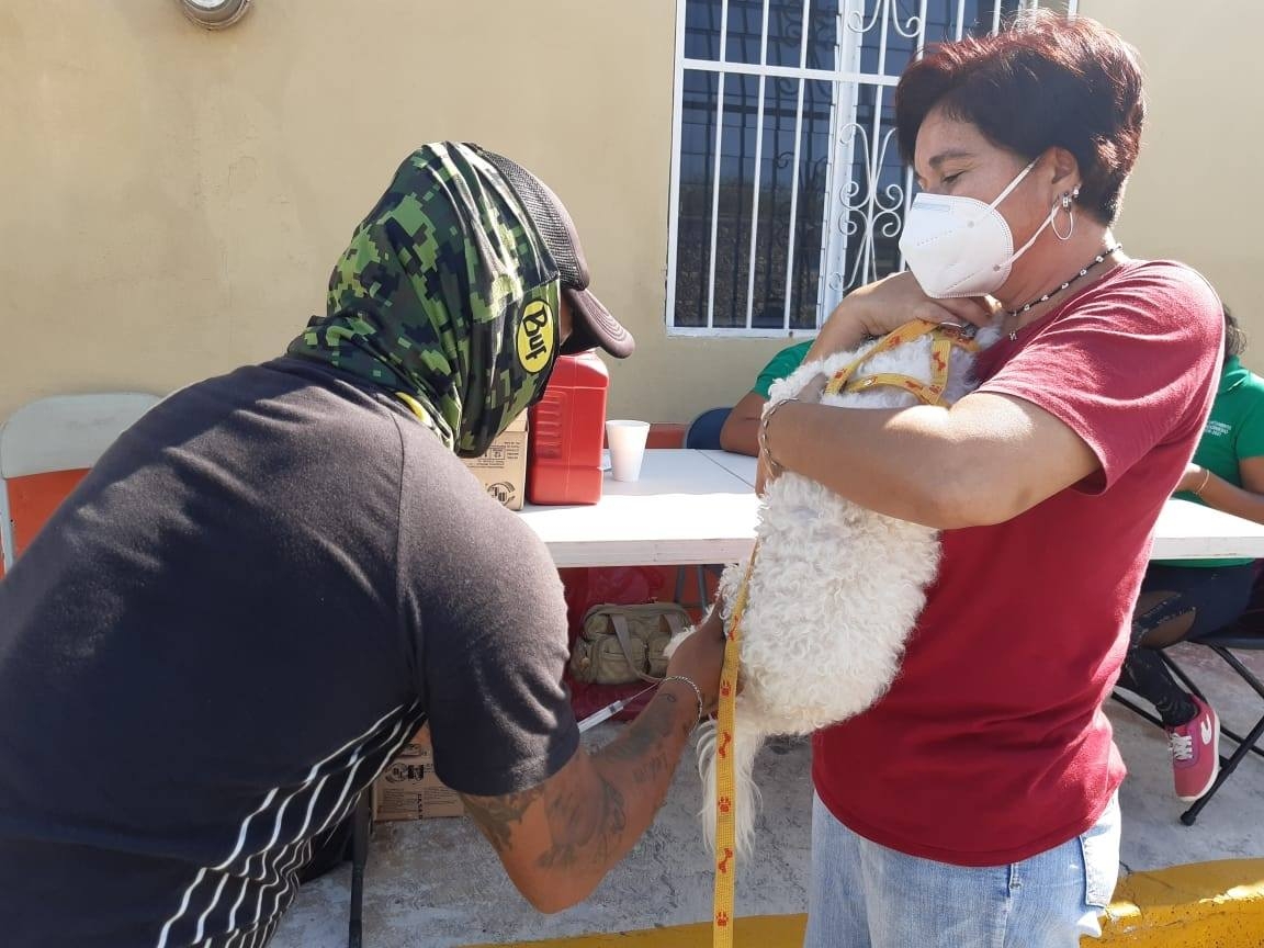 Los sujetos fueron vistos en la Benito Juárez García y Fco. I. Madero de Progreso