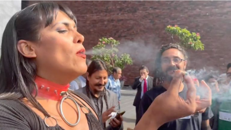 Acompañada de activistas, la diputada sembró semillas de cannabis en uno de los jardines de la Cámara Acompañada de activistas, la diputada sembró semillas de cannabis en uno de los jardines de la Cámara